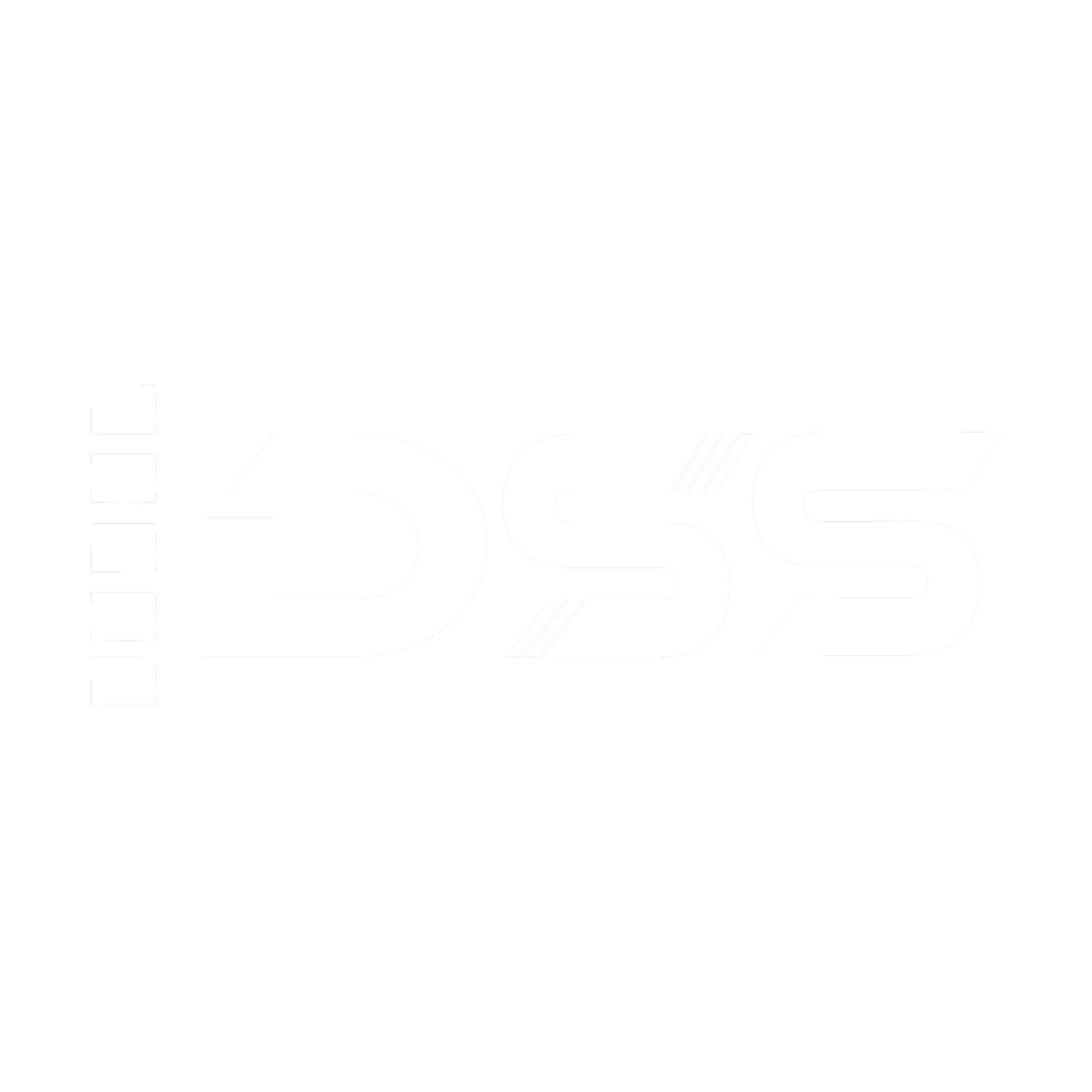 DSS logo-03